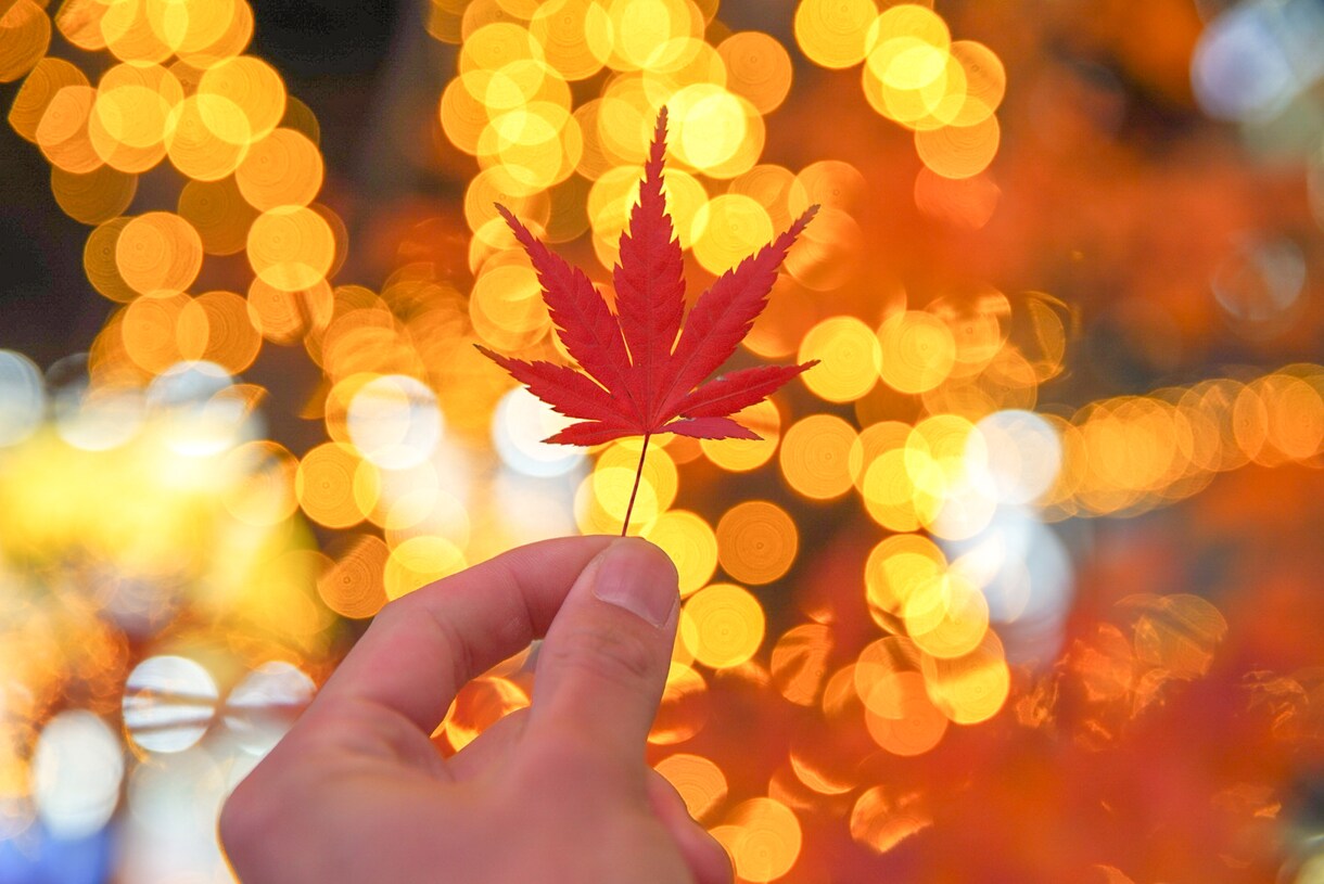 あなたの気持ちを聞きます 辛い時、悲しい時、嬉しい時、怒ってる時の気持ちを聞きます イメージ1