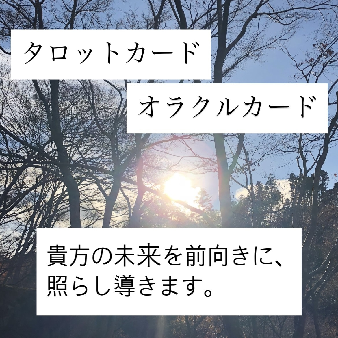 タロット・オラクルカードリーディングいたします 貴方のお悩み解決のお手伝い、そして前向きな未来へ。 イメージ1