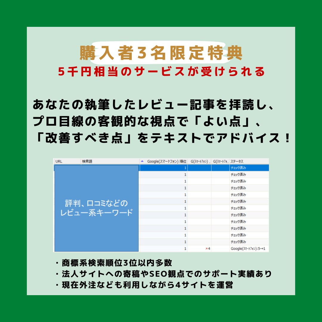 ブログ収益の柱になるレビュー記事のテンプレートます アフィリエイト収益アップ！検索上位を目指せる商標記事のひな形 イメージ3