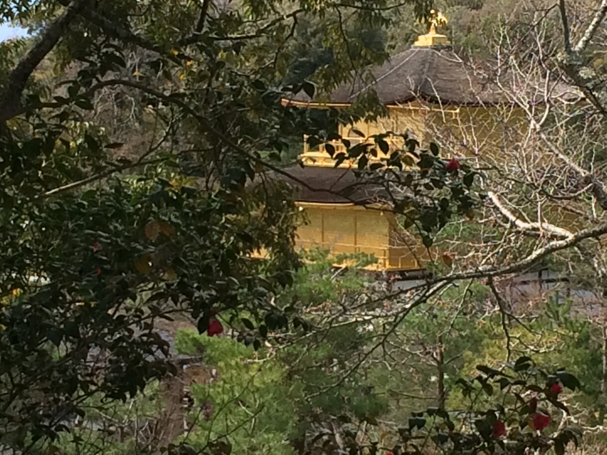 ５泊６日広島、京都、奈良、姫路城の旅程シェアします 〜５つの世界遺産とアベノハルカスを満喫できました〜 イメージ2
