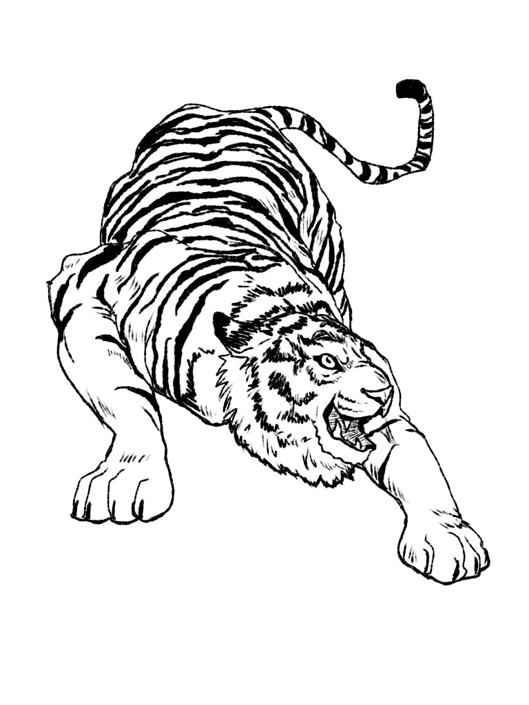 リアルなタッチで動物のイラストを描きます 【商用可】スマホの壁紙、SNS用やアイコン、挿絵にどうぞ！ イメージ8
