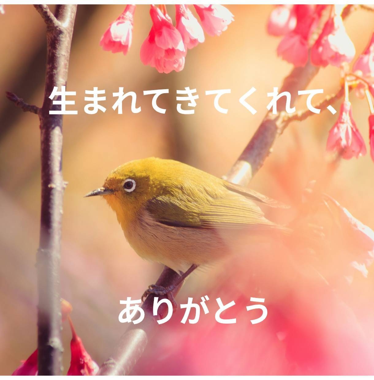 ひきこもり・生きづらさを抱えるあなたのお話聴きます 元当事者が聴くチャット相談【1日チャット・メッセージ無制限】 イメージ2