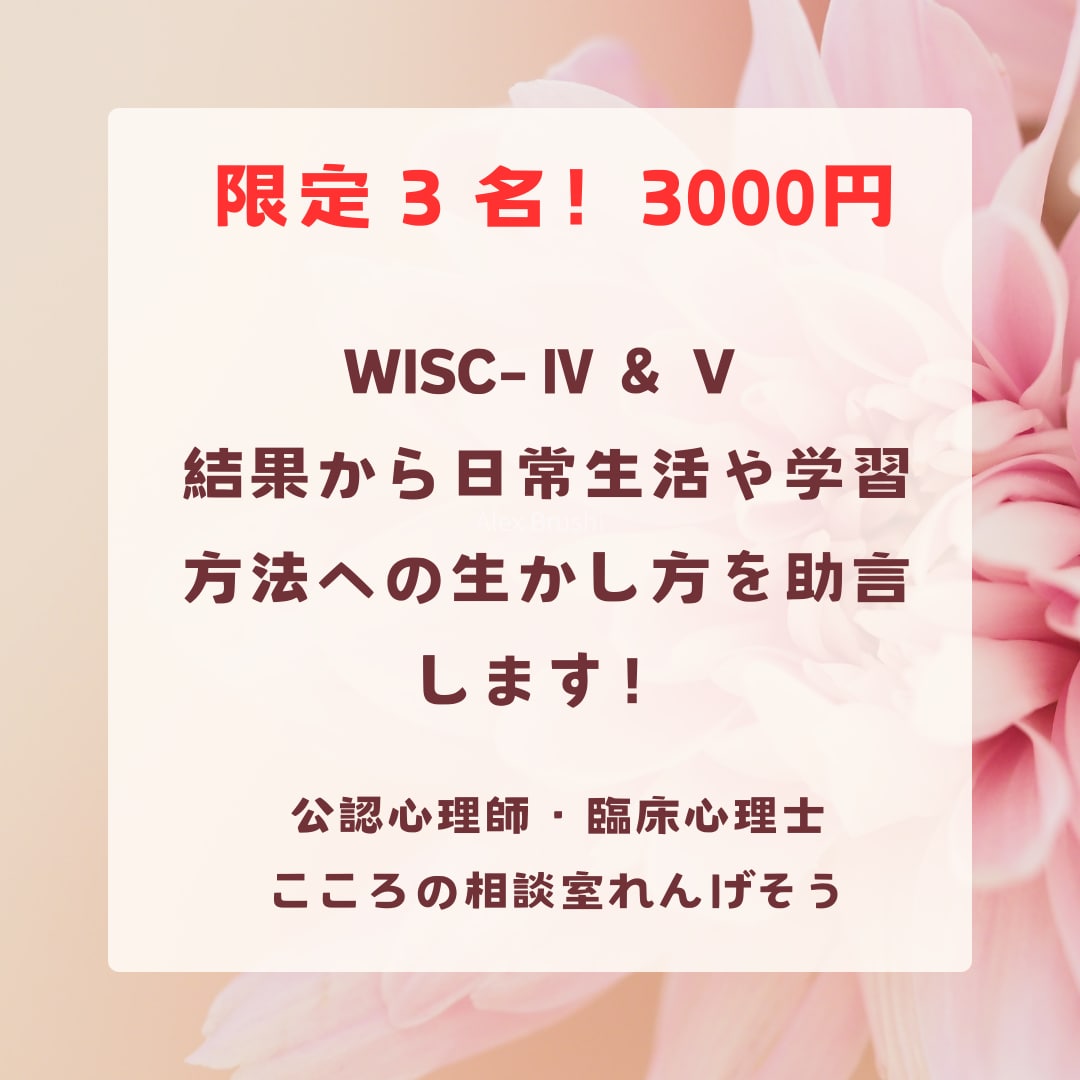 限定３名！WISC‐Ⅳ・Ⅴ結果の生かし方教えます 実施件数100件超！結果から日常生活や学習方法の助言をします イメージ1
