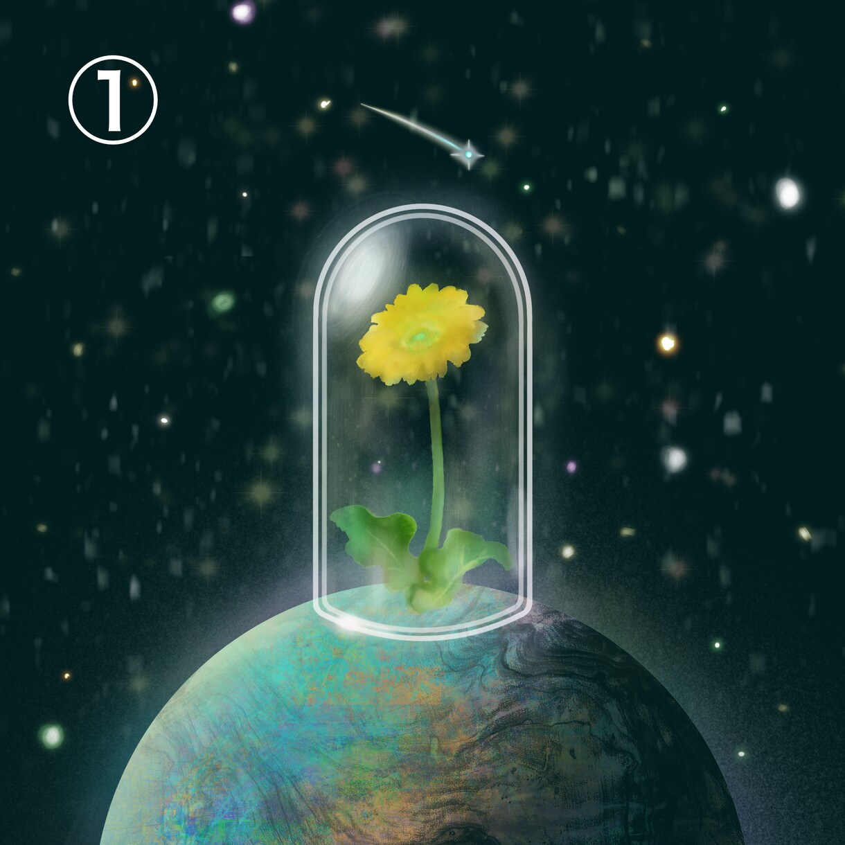 宇宙にあるあなたの星の花をアイコンにします 宇宙を感じるアイコン／あなたの花/お揃い/二次利用可/SNS イメージ2