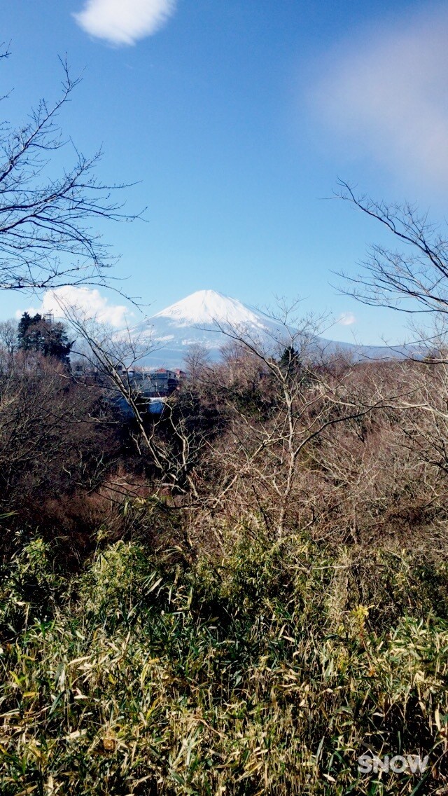 国内旅行をプランニングいたします 全国どこでもご希望に沿ってご旅行をサポート致します！ イメージ5