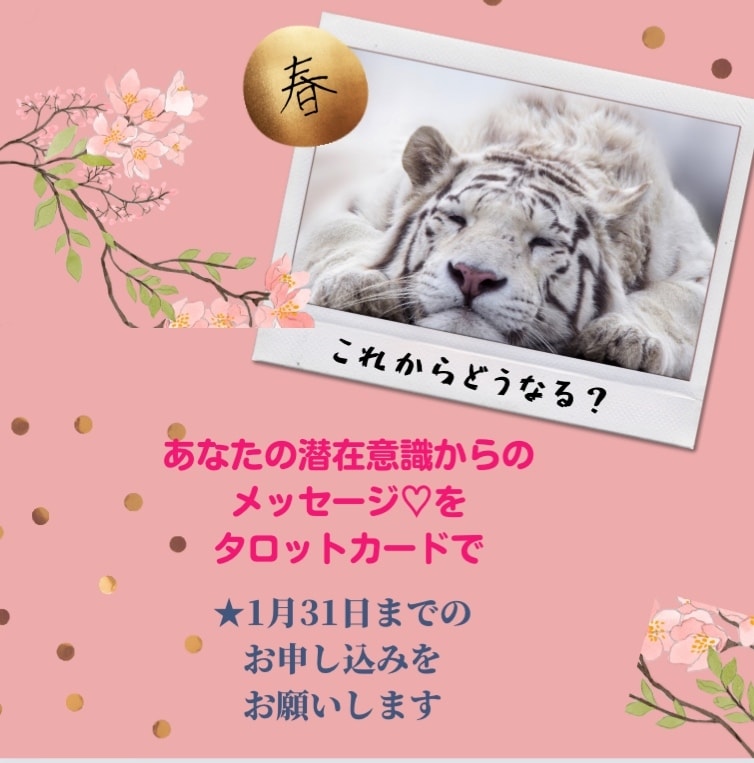 恋愛のお悩みが解決するヒントをお伝えします 自分や相手の気持ち理解しながら、ポイントをお伝えします。 イメージ1