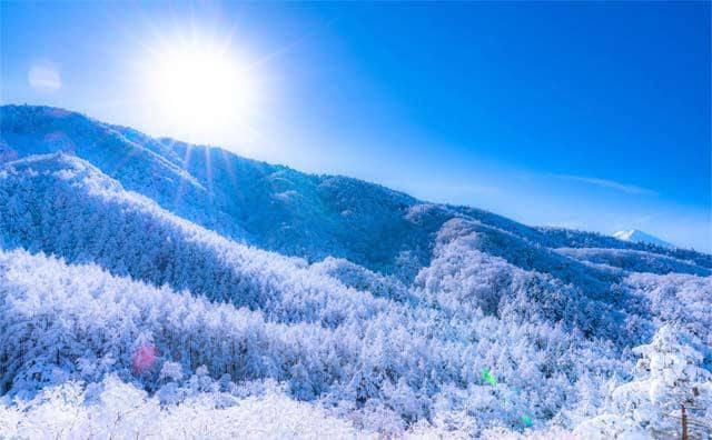 あなたの愛や人生等を霊視・透視いたします ‼️恋愛、複雑な恋愛、仕事、人間関係/上げ下げ鑑定無し‼️ イメージ5