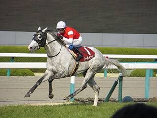 中央競馬予想します 長期的に収支をプラスにしたいあなたへ イメージ1
