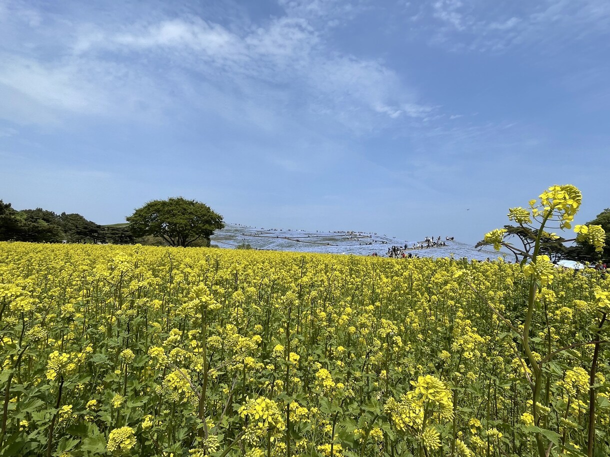 自分責めをふわっとゆるめるアドバイスをします 自分責めをふわっとゆるめる言葉、素敵なところを伝えます！ イメージ1