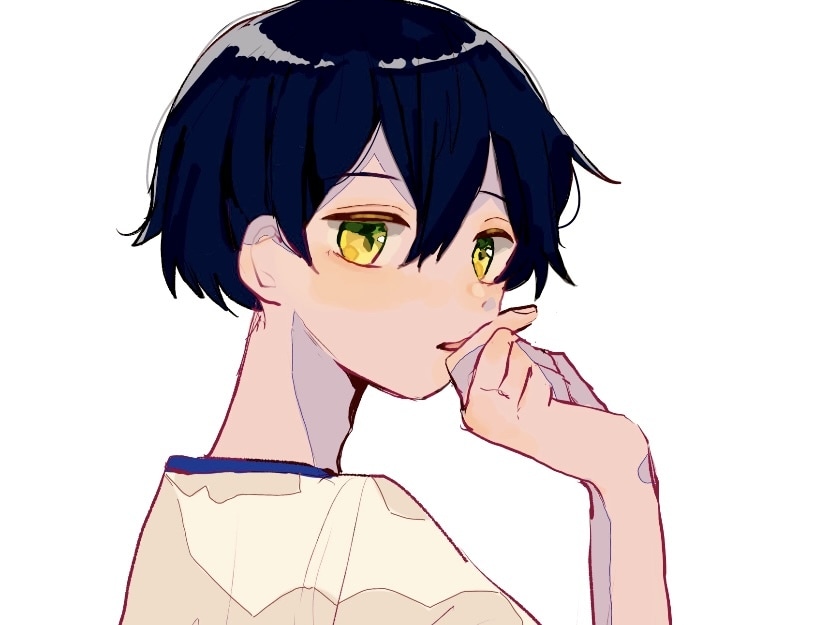 SNS用アイコンを中心にイラストオーダー承ります 早く丁寧にご希望のイラストをお作りします！ イメージ1