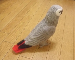 あなたの愛鳥をモデルに羊毛の小鳥を制作します 自分の愛鳥グッズを諦めていた方必見！ボウシ・バタン・ヨウム等 イメージ5