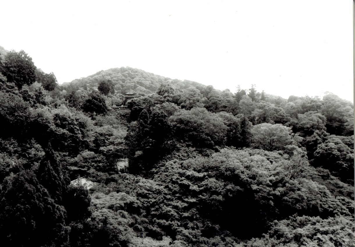 モノクロフィルム写真を撮ります モノクロフィルムで味のある写真を提供します。 イメージ3