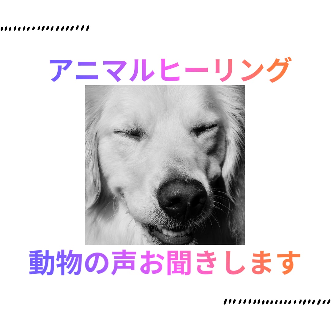 大切なペットの気持ちを、やさしくお伝えします うちの子、何を想ってる？心の声を通訳します イメージ1