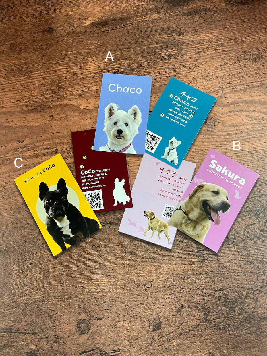 ペット名刺（PET NAME CARD）制作します セミオーダータイプ・50枚単位で注文可能！ イメージ1