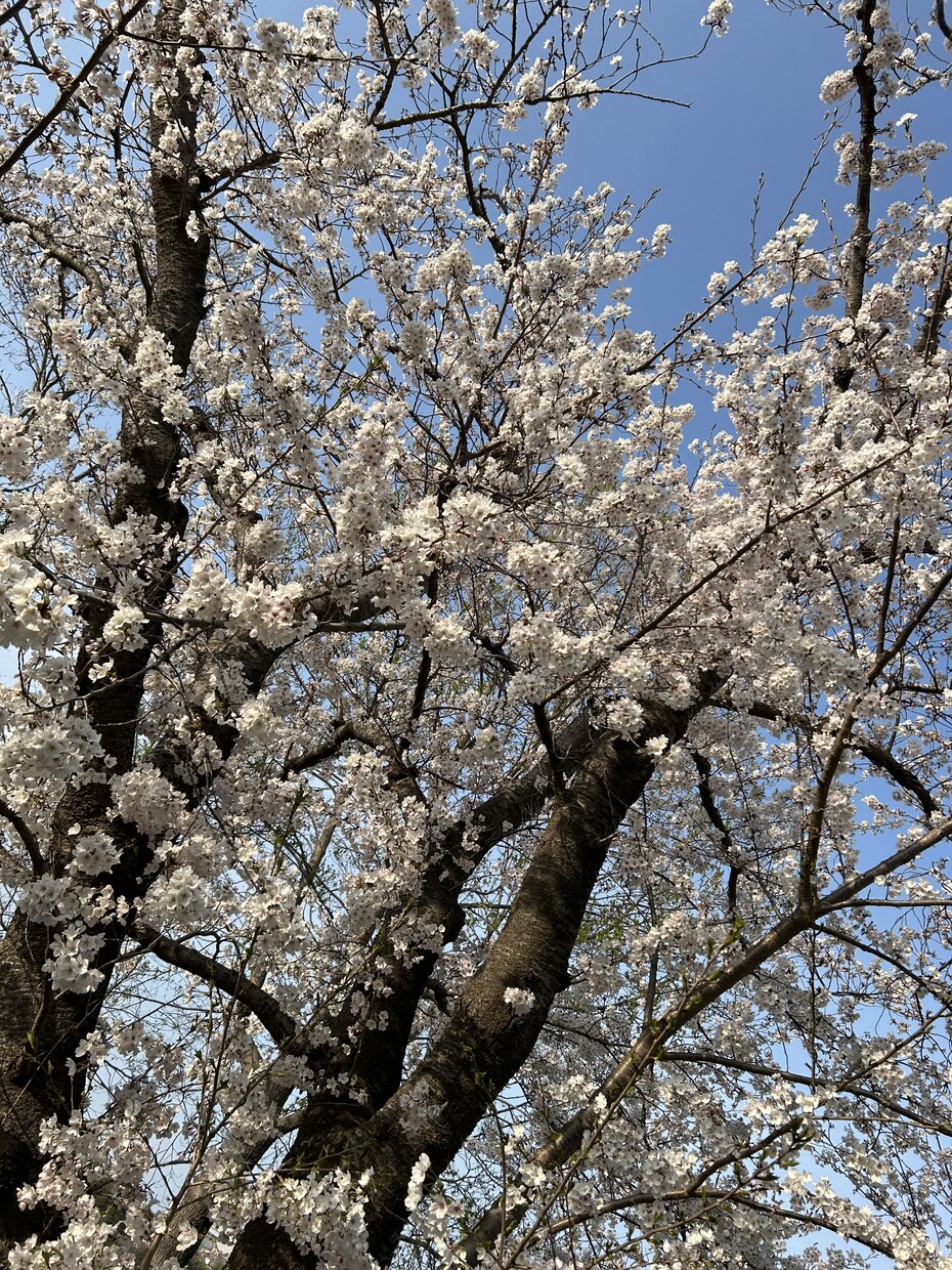 ママの愚痴、子育ての悩み、恋愛その他何でも聞きます 保育士資格、子育て経験、シングルマザーが寄り添います イメージ1