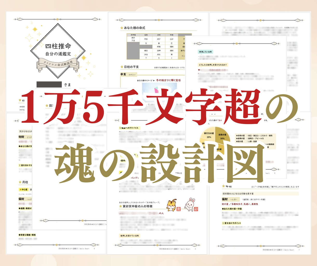 あなたの「魂の取扱説明書」を作成します 15,000文字超｜四柱推命で読み解く「魂の完全攻略パック」 イメージ2