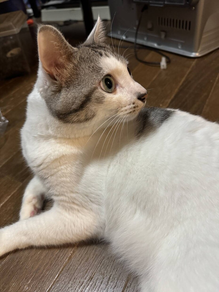 仕事のぐち、悩み聞きます。家族の悩み聞きます 話すことで楽になることもあります。お話ししましょう。 イメージ3