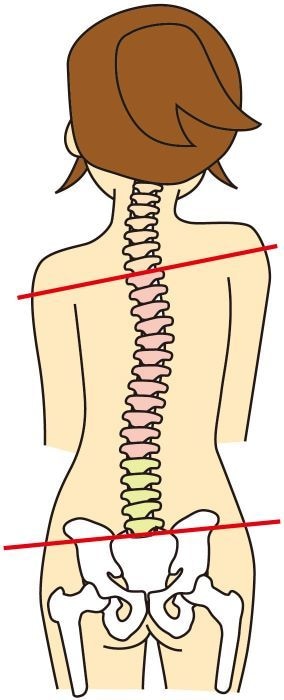 湿布なしで痛みを解消！腰痛改善の講座を行います 誰も教えてくれなかった腰痛の原因　それは「仙骨」の歪みです イメージ4