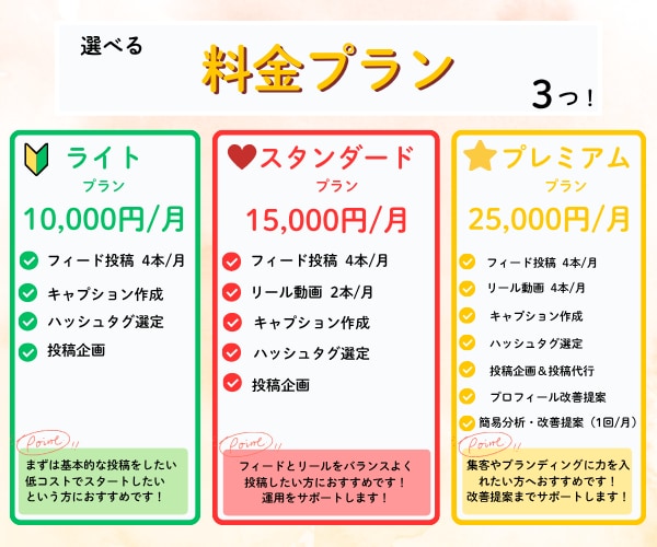 現役看護師がInstagram運用代行します 安心サポート！予算や目的に合わせた選べる3つのプラン イメージ3