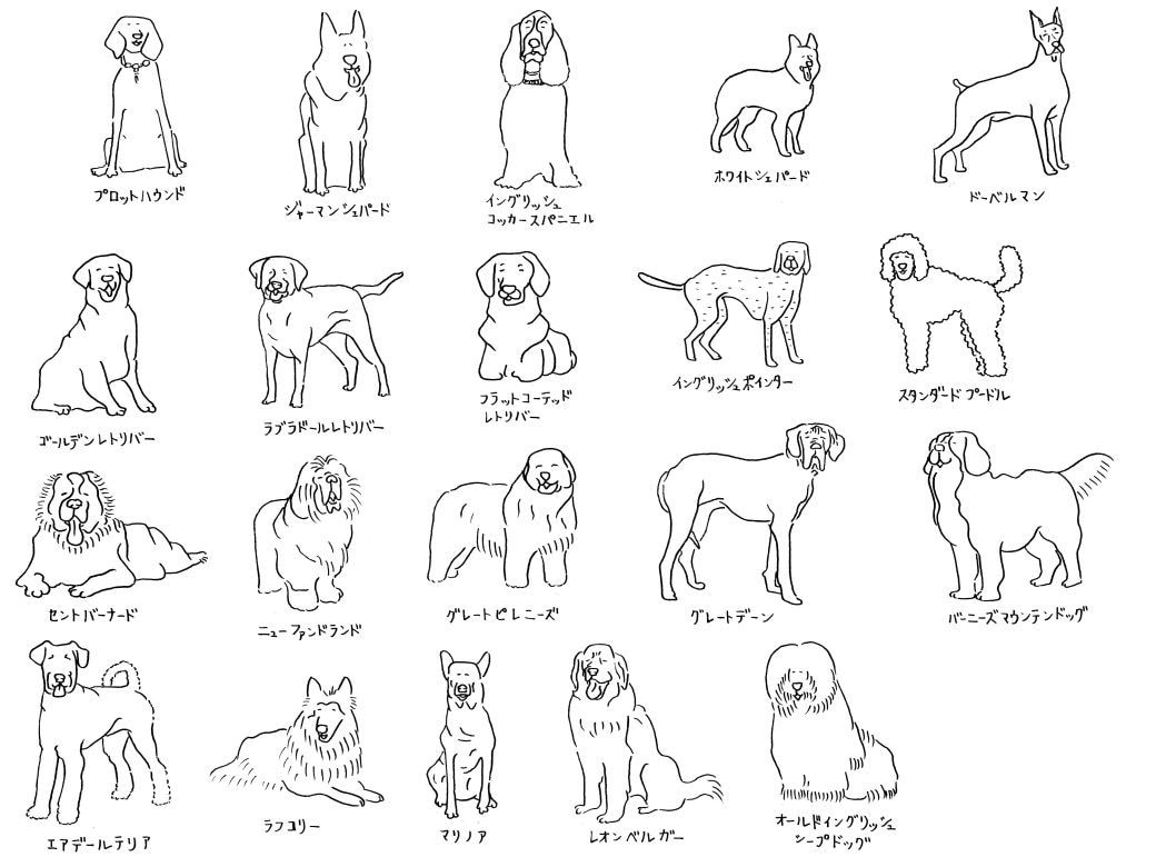 ゆるっとした動物イラストを描きます 手描き風のイラストでデジタルっぽくない雰囲気を出します。 イメージ2