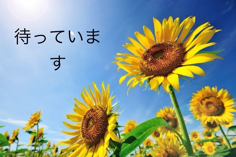 元看護師の作詞家★あなたの話お聞きします 私があなたの心を癒します♩恋愛/人生/夫婦/誰にも言えない話 イメージ4