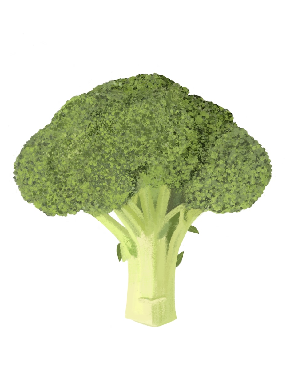 新鮮な野菜果物イラスト｜温かいタッチで制作します レシピ本・メニュー・パッケージ用食品イラストを制作します イメージ9