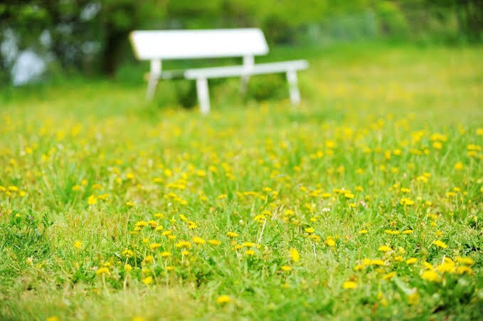 貴方の気になることなんでも占います 貴方が今気になっていることをなんでも3つ占わせていただきます イメージ1
