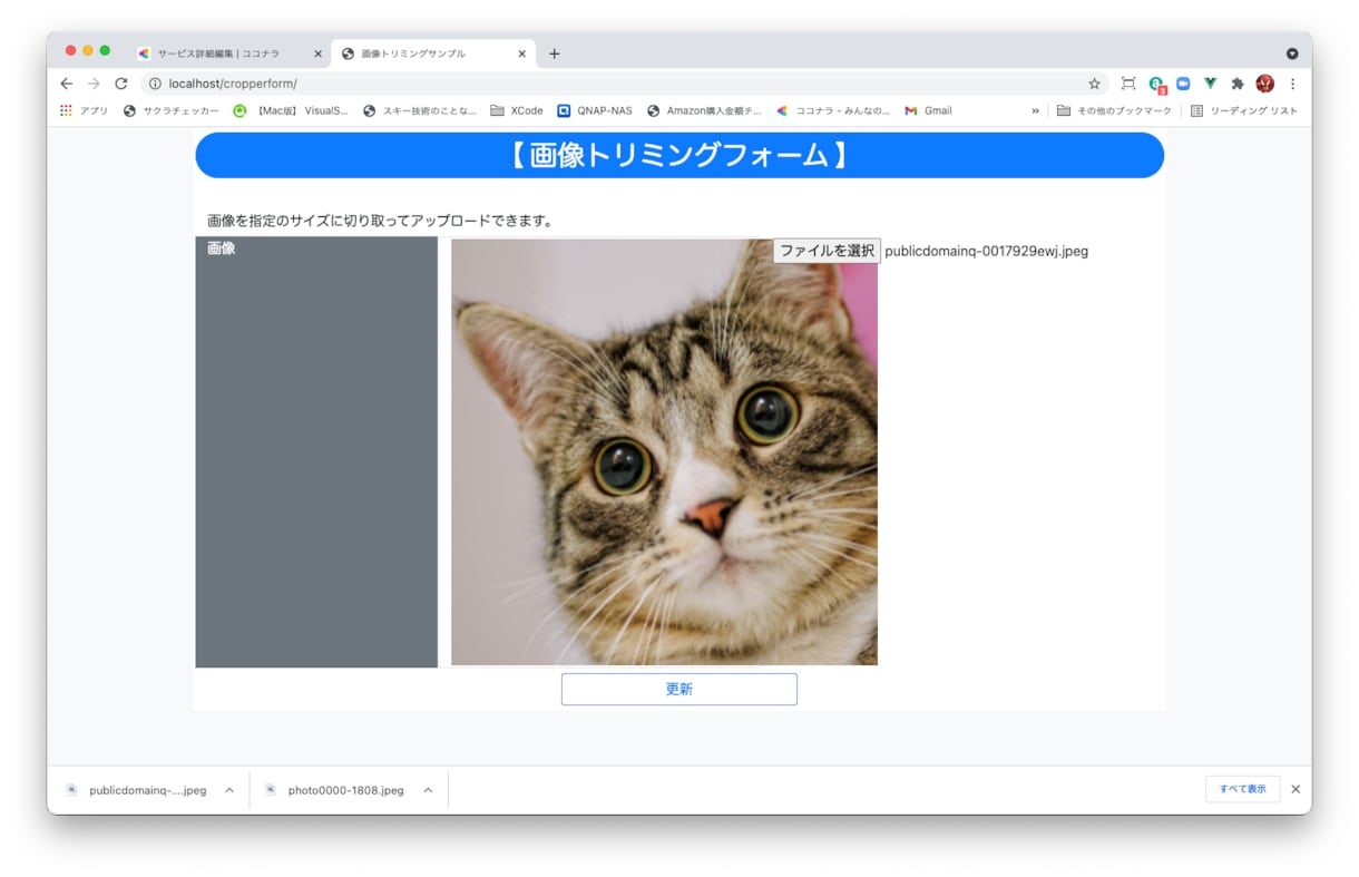 画像をトリミングしてアップロードできます 画像をトリミングしてアップロードするシステム作ります。 イメージ2