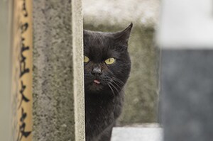 初心者向け投資相談します 株式投資してみたいけど不安。。といった方へ。 イメージ1