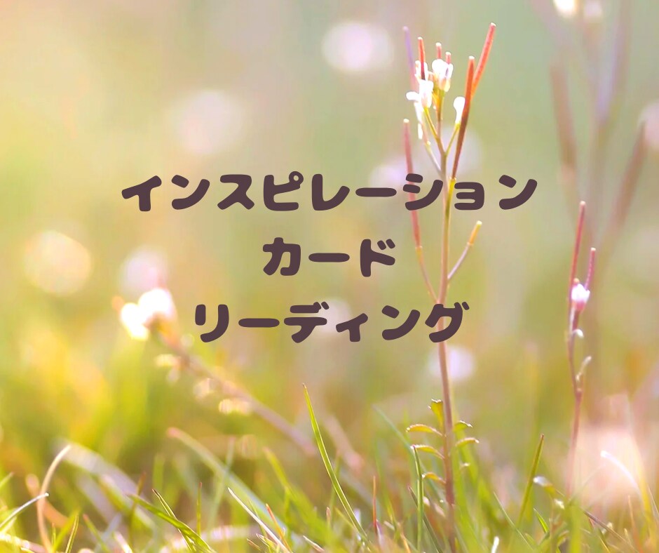 カードリーディングで必要なメッセージお届けします 今現在のあなたへ必要なメッセージをリーディングします イメージ3