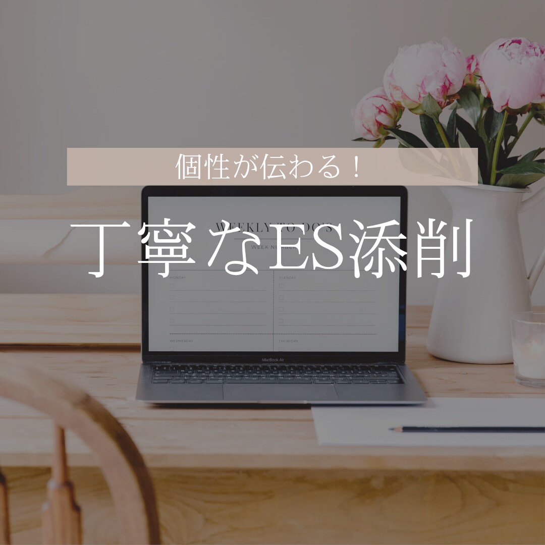 元大学職員・キャリアコンサルタントがES添削します 【元大学キャリアセンター職員】個性が伝わる文章をつくります イメージ1