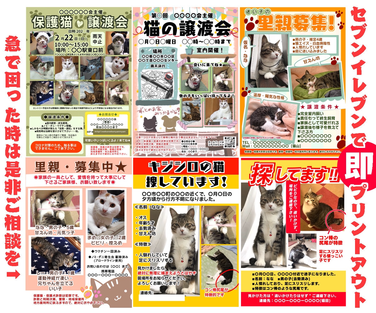 突然のペット迷子！でも大丈夫！迷子チラシ作ります 貼り紙をセブンイレブンで即印刷出来るよう手配致します! イメージ5