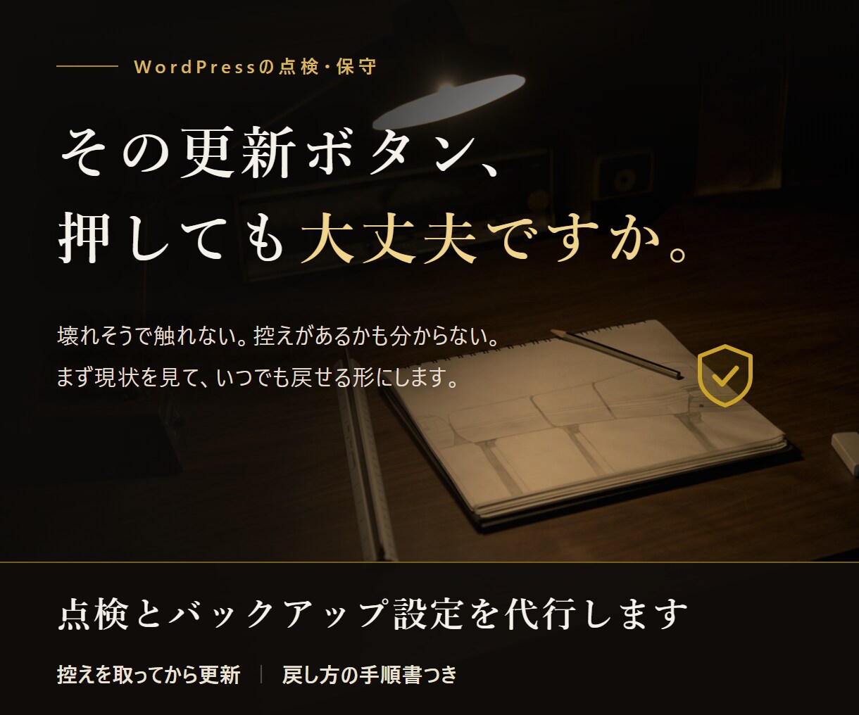 WordPress点検・バックアップ代行します 更新が止まって不安な方へ。現状を見て、戻せる形にします イメージ1