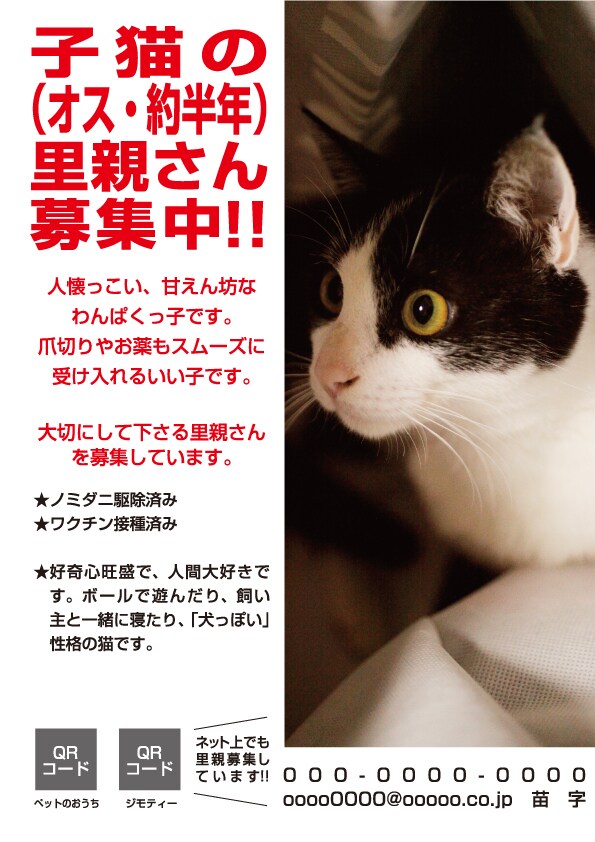里親探し用チラシデザインあります 猫や犬などの里親探し用のチラシを作成します。 イメージ1