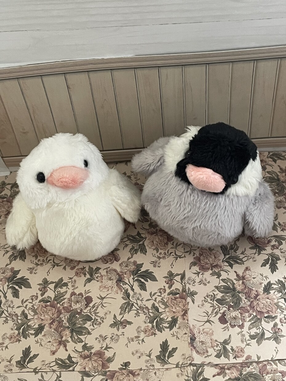 小鳥さん制作します ご依頼後制作開始しますよろしくお願い致します イメージ10