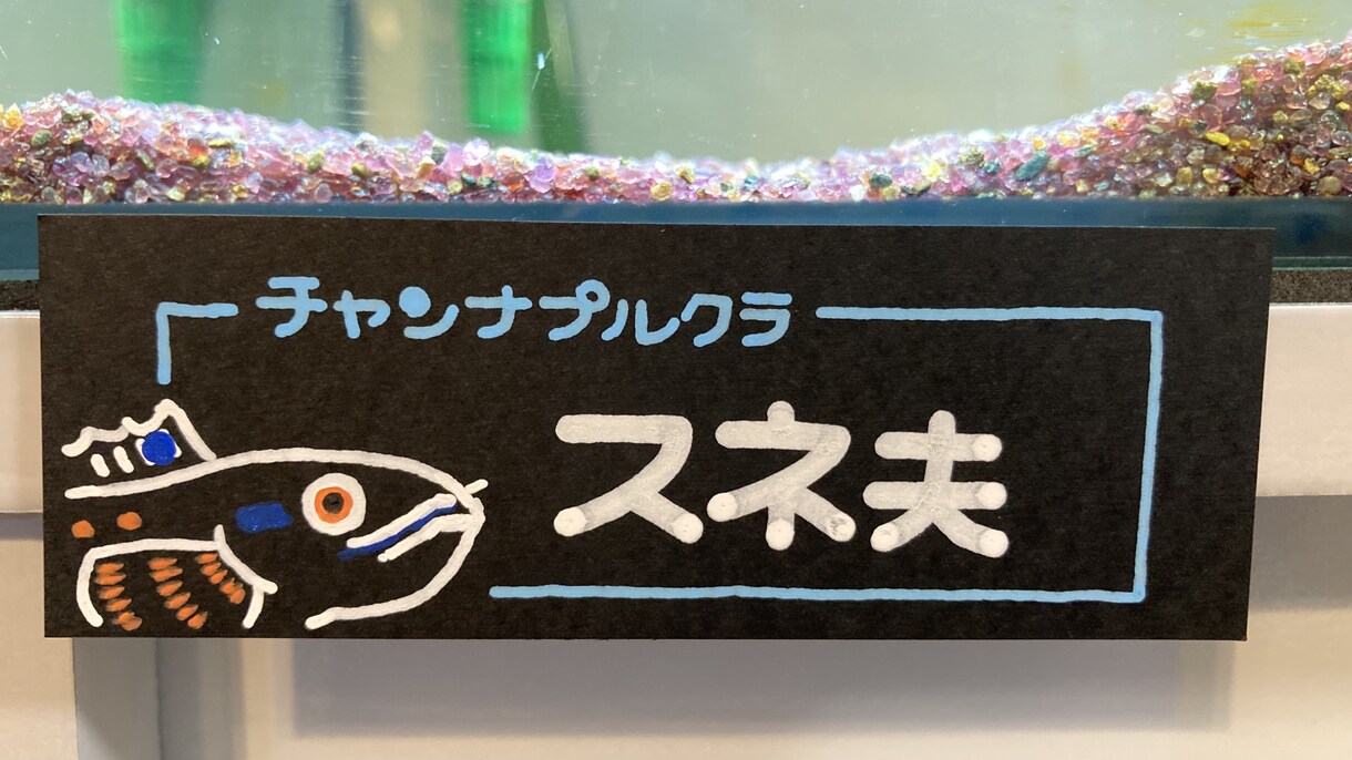 うちの子（水槽系）のネームプレート作ります うちの子の魚種と名前をタンク周りに貼りたい…そんなあなたへ イメージ3