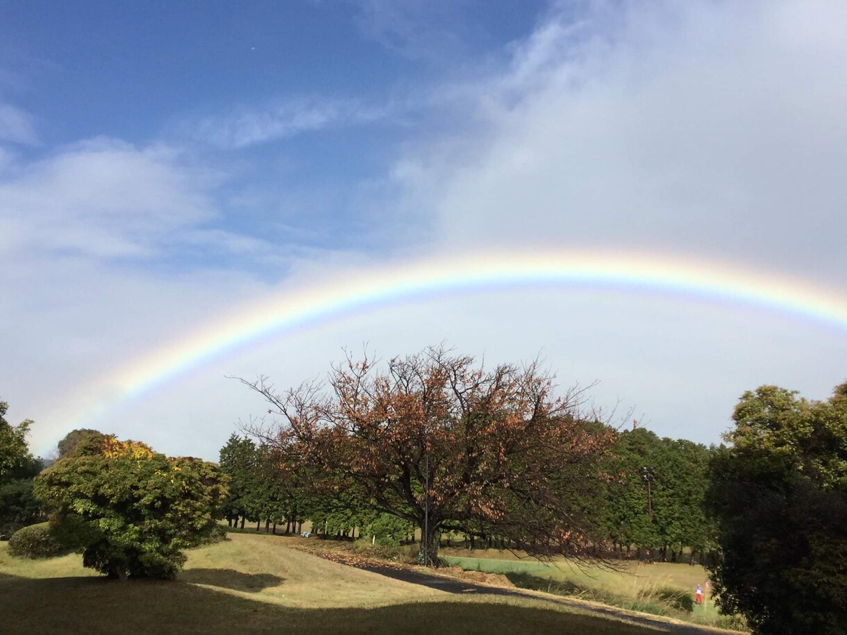 あなたの中に眠っている自然が目を覚まします 何もしなくても流れに任せていれば良いのですよ。 イメージ7