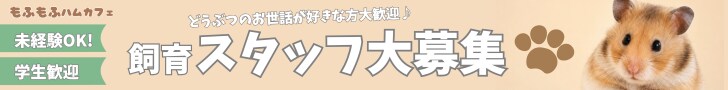 非AI・SNS広告画像などを代わりに制作します Instagram投稿・広告に使える画像を制作します イメージ6