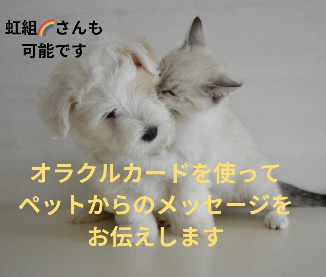 ペットからのメッセージを伝えします オラクルカードを使ってメッセージを出していきます。 イメージ1