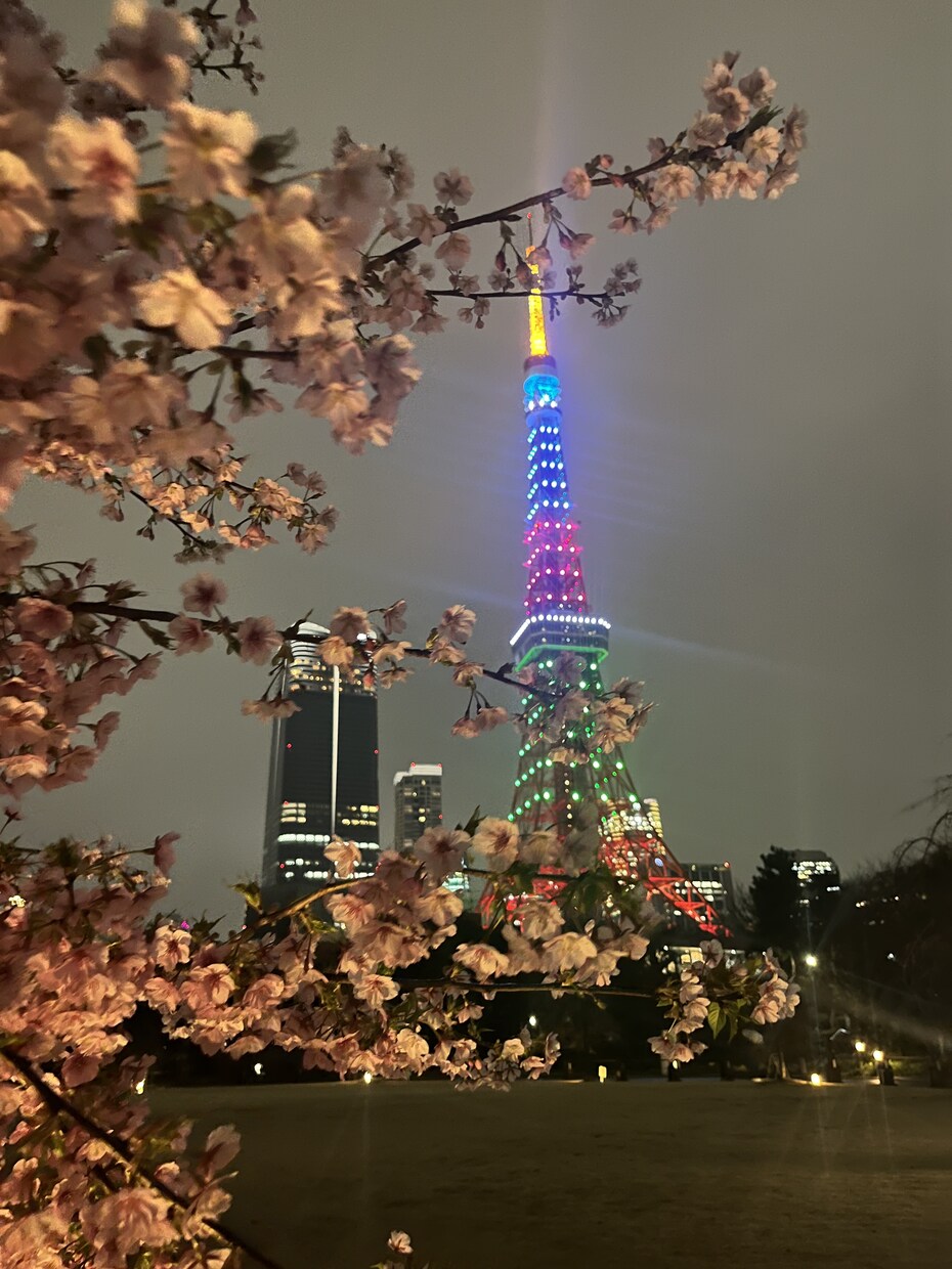 東京23区内の観光スポットの写真を撮影代行します 都内の絶景スポット・グルメの撮影お任せ下さい！ イメージ3