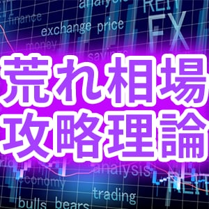 荒れ相場を乗り切るトレード法を教えます 投資歴50年のプロが教えるFXで成功するための理論 イメージ1