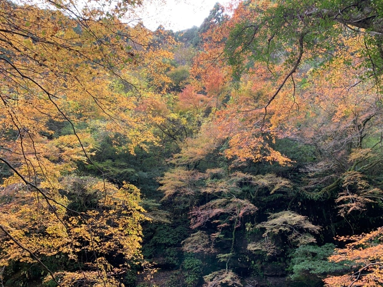 高知の便利屋やってます 困った時、必要な時はお任せ下さい！ イメージ1