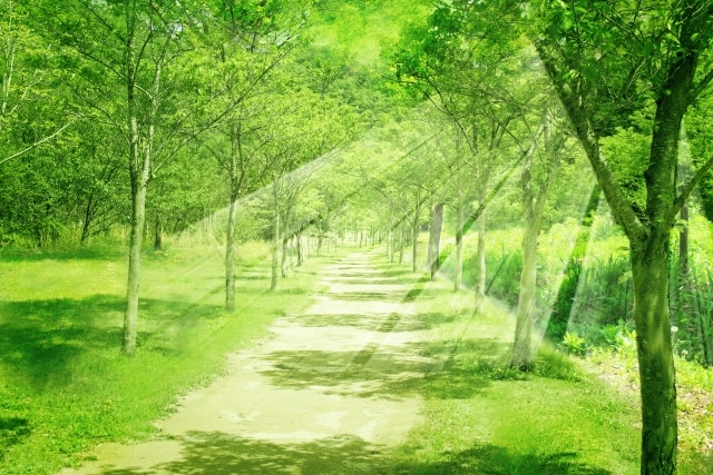 あなたの心の駆け込み寺…お話じっくり伺います 絡んでしまった心の糸、私と一緒に丁寧にほぐしましょうね イメージ1