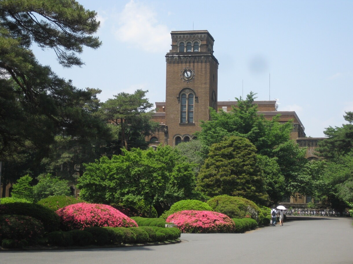 受験生の添削・指導行います 受験直前に現役難関大生からのアドバイスを受けたい方に イメージ1
