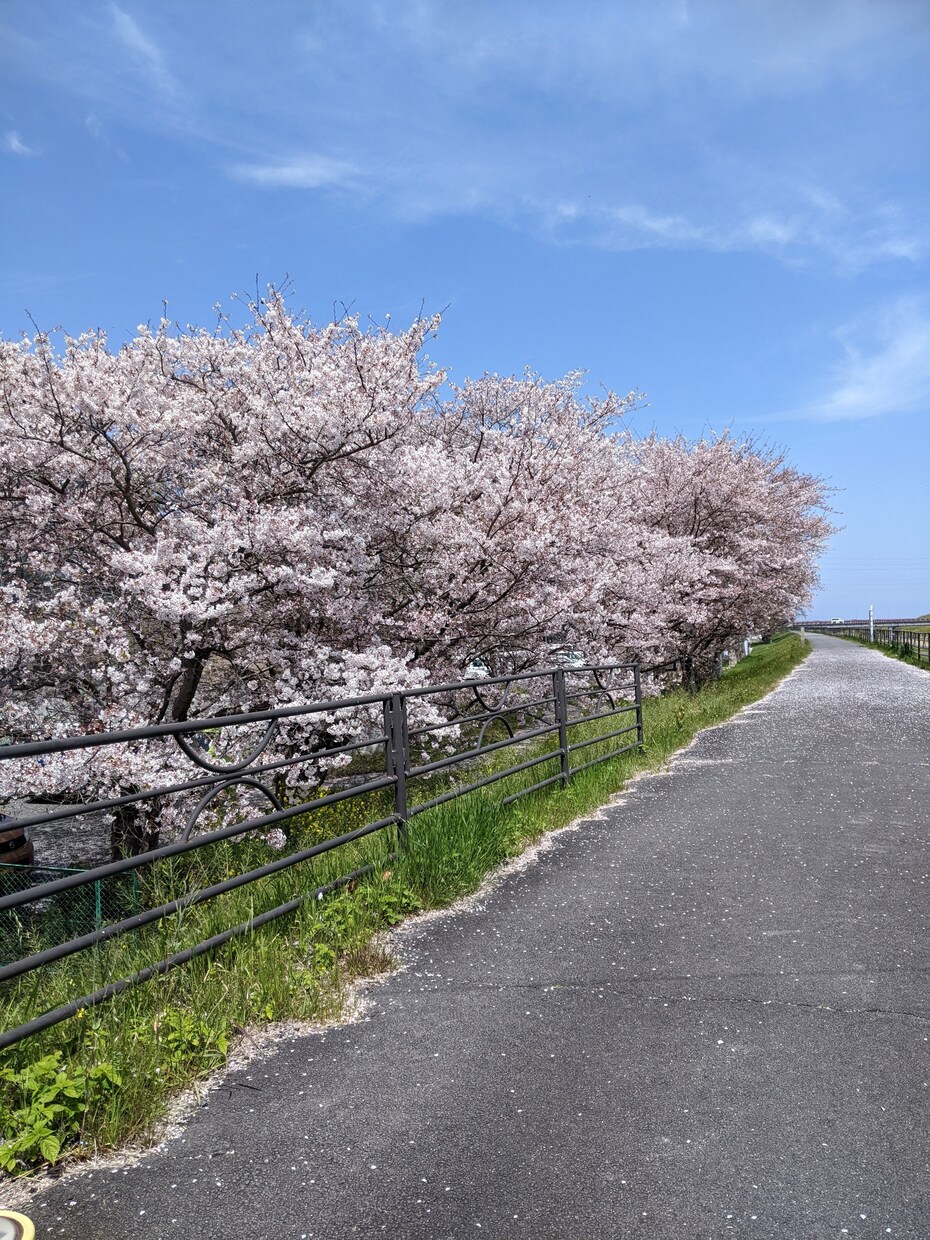 小さな事でも、人生のお悩み等、何でもお聞きします お悩み事に寄り添ってお話を聞き、秘密は厳守致します。 イメージ2