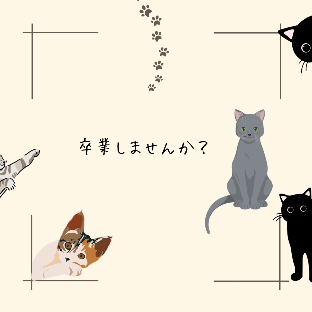 自信ない人向け心の迷子を卒業する対話します どうせ自分なんて…を終わらせたい⭐︎自分に◯をする優しい時間 イメージ3