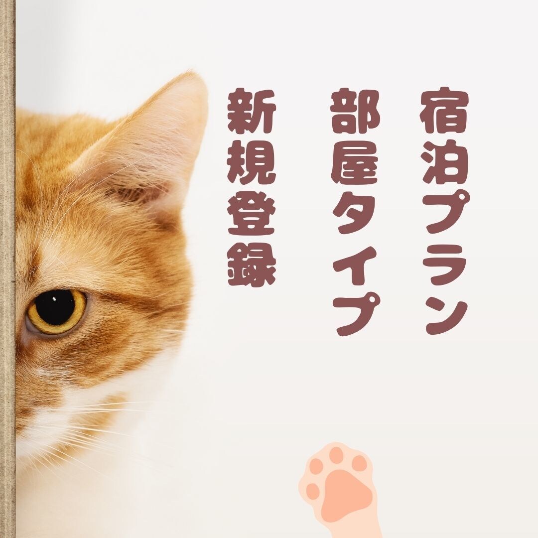 じゃらん・楽天などOTAの管理画面操作代行致します 元旅行会社出身者が旅館ホテル様の業務効率化をサポート☆ イメージ4