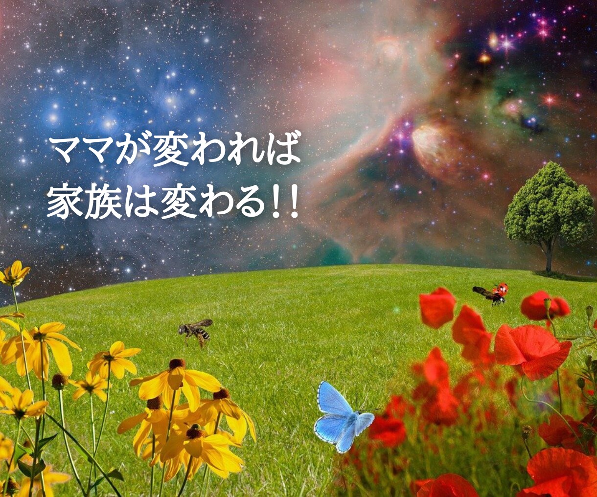 子育ての悩みから子供の特性を活かす解決策を考えます 親子の笑顔を増やす子育て☆声かけひとつで子どもは変わります！ イメージ3