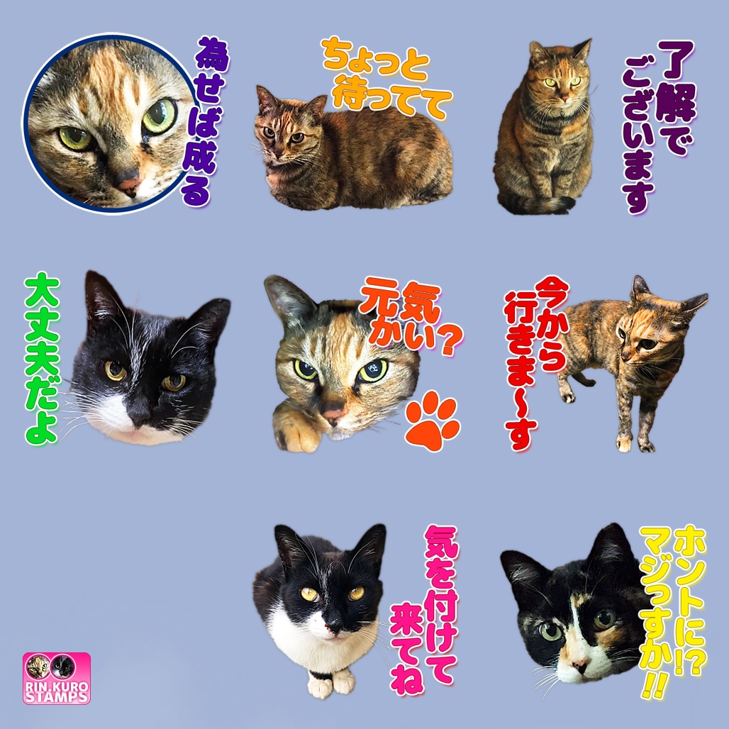 ペットや人物の写真でLINEスタンプを作ります オシャレ系でも可愛い系でもご要望に合うLINEスタンプ制作！ イメージ4