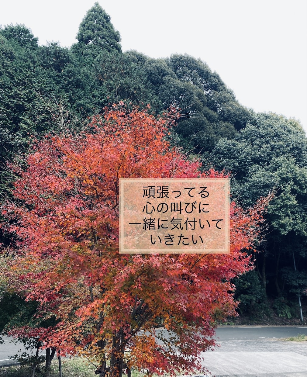 あなたの話し相手になります どんな事でも大丈夫。否定せずあなたに寄り添います イメージ5